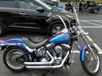 20161114_133246_resized (1).jpg