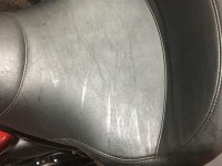 IMG_1655.jpg